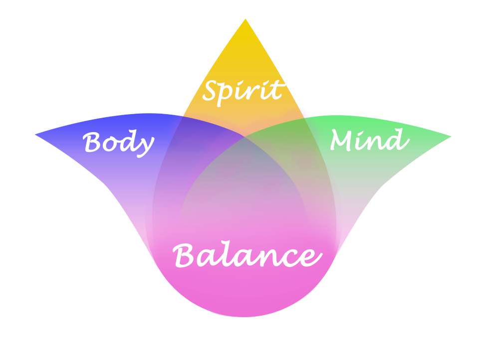 synergy mind body wellness